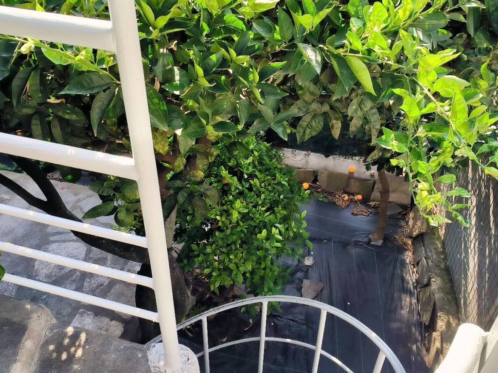 Appartamento a Spotorno in Via La Spezia - Foto 5