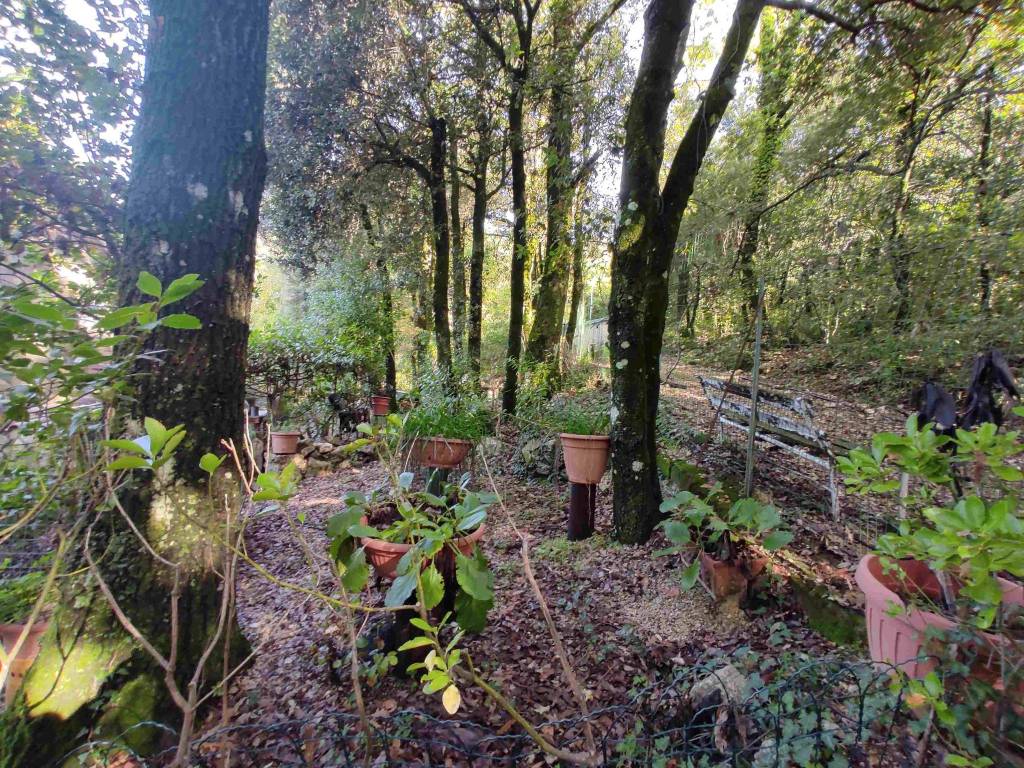 Casa indipendente a Poggio catino in Via Cisterna, 24 - Foto 4