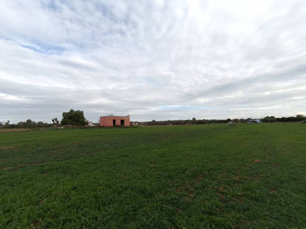 Terreno a Alezio - Foto 2