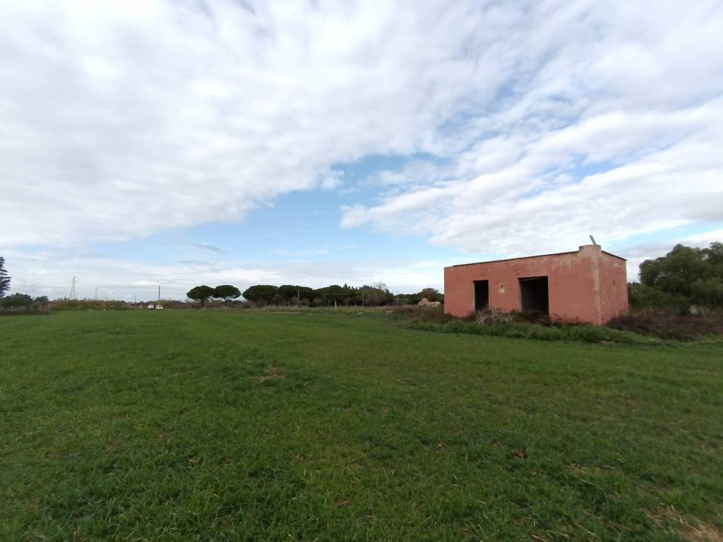 Terreno a Alezio - Foto 3