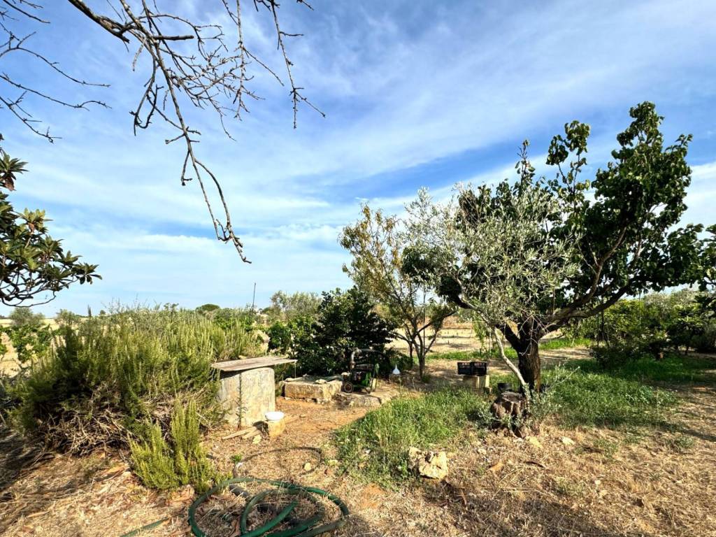 Terreno a Gallipoli - Foto 4