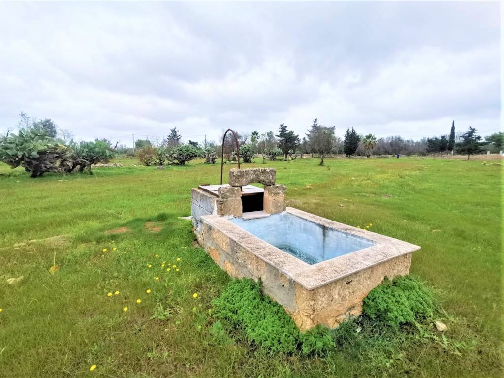 Terreno a Alezio - Foto 2