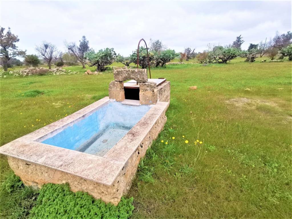 Terreno a Alezio - Foto 3