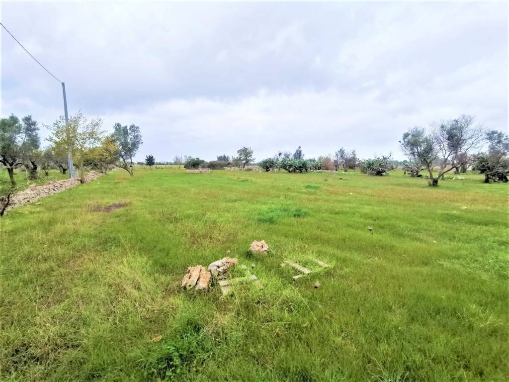 Terreno a Alezio - Foto 5