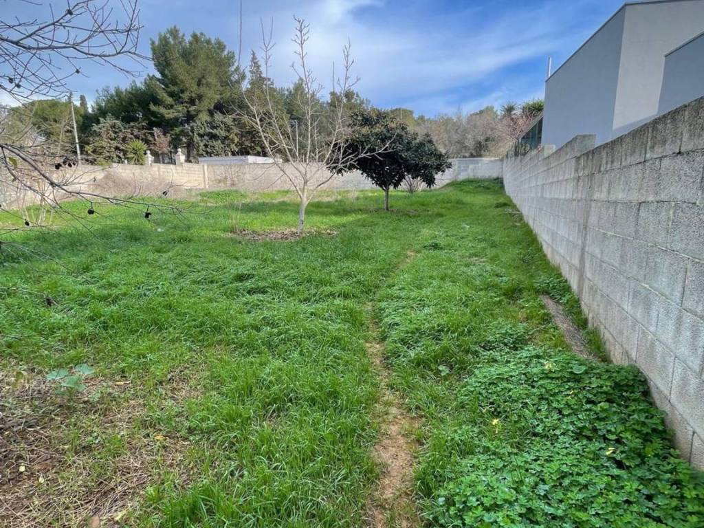 Terreno a Sannicola in degli Ulivi, 17 - Foto 2