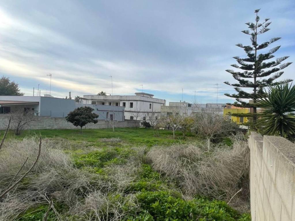 Terreno a Sannicola in degli Ulivi, 17 - Foto 5