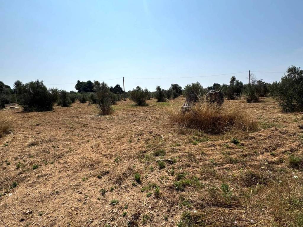Terreno a Sannicola in Via per Sannicola - Foto 2