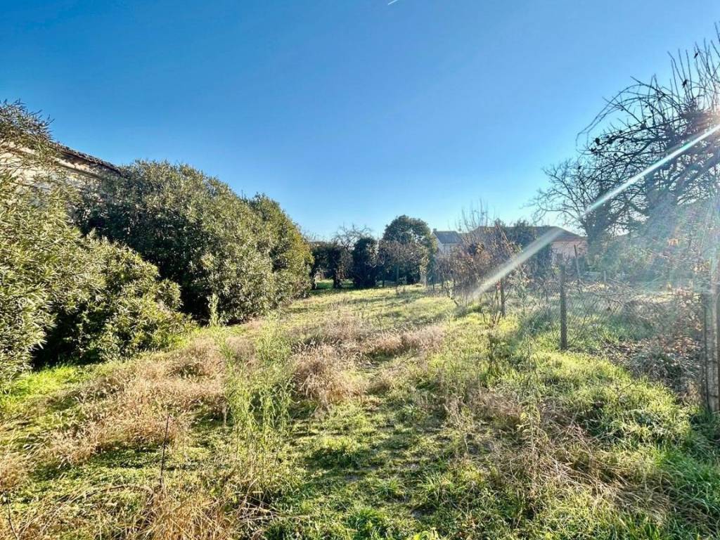 Casa indipendente a Fiesso umbertiano in Via Trieste, 113 - Foto 2