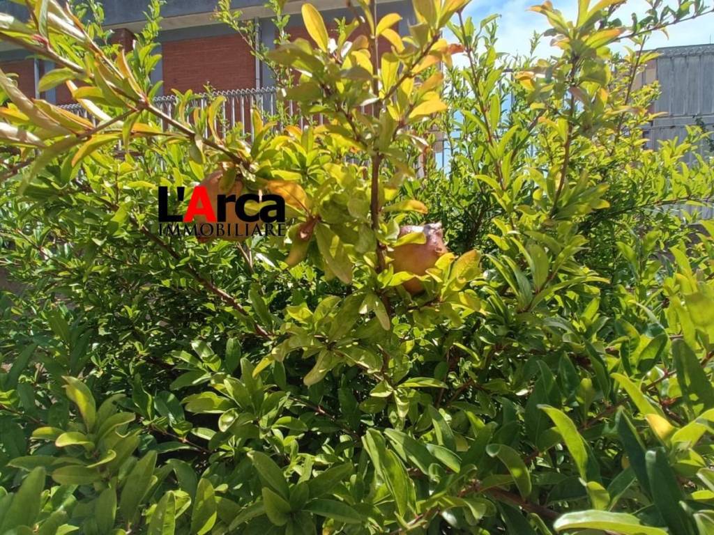 Villa a Castrignano del capo in Via Padova - Foto 5
