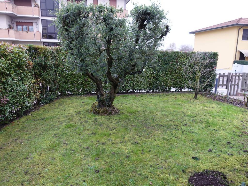 Villa a Stra - Foto 5