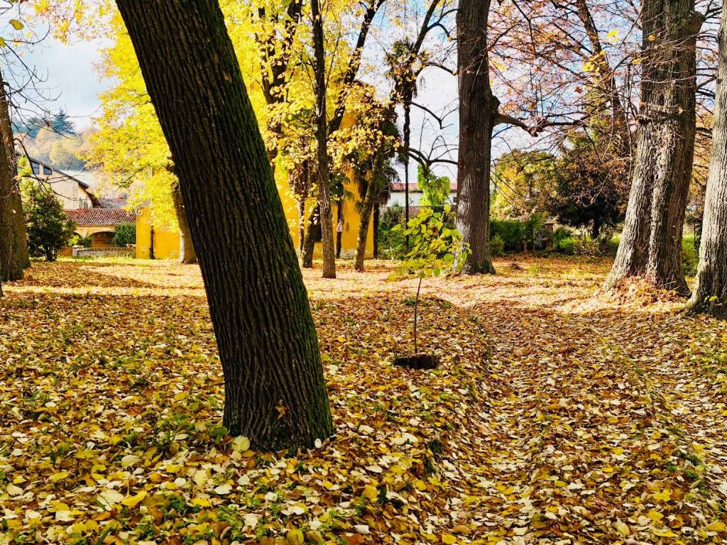 Villa a Manta in Via Saluzzo, 15 - Foto 4