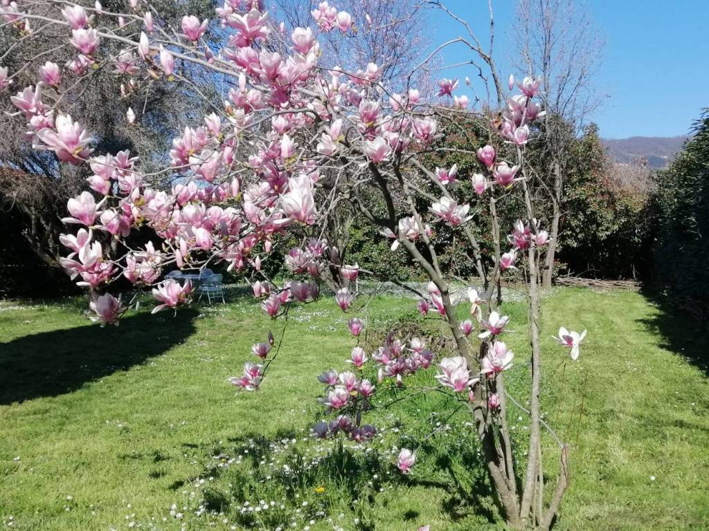 Villa a Castelnuovo magra in Via Aurelia, 134 - Foto 2
