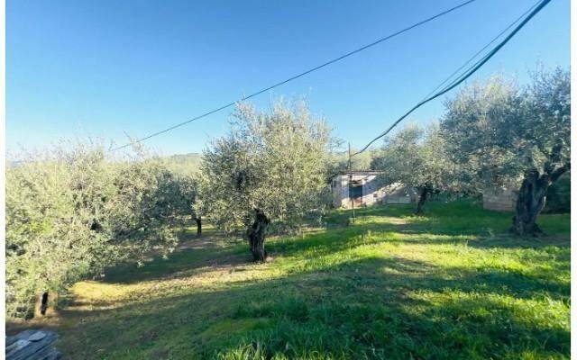 Rustico / casale a Larciano in Piazza Vittorio Veneto - Foto 4