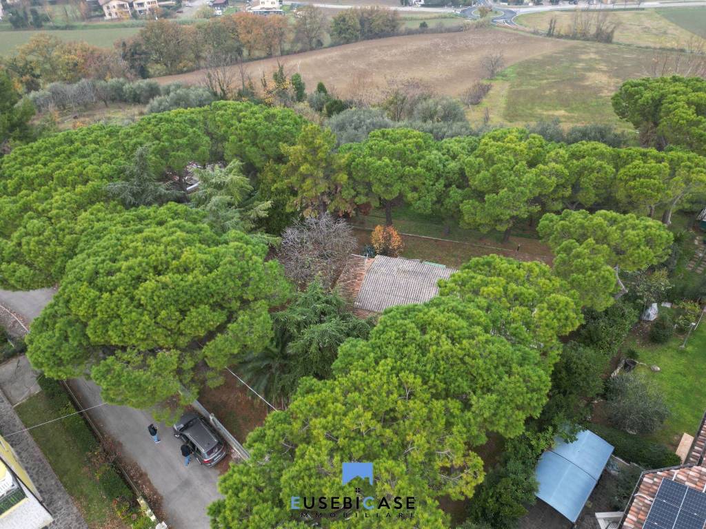 Rustico / casale a Coriano in Via Ca' Ciavatti, 36 - Foto 3