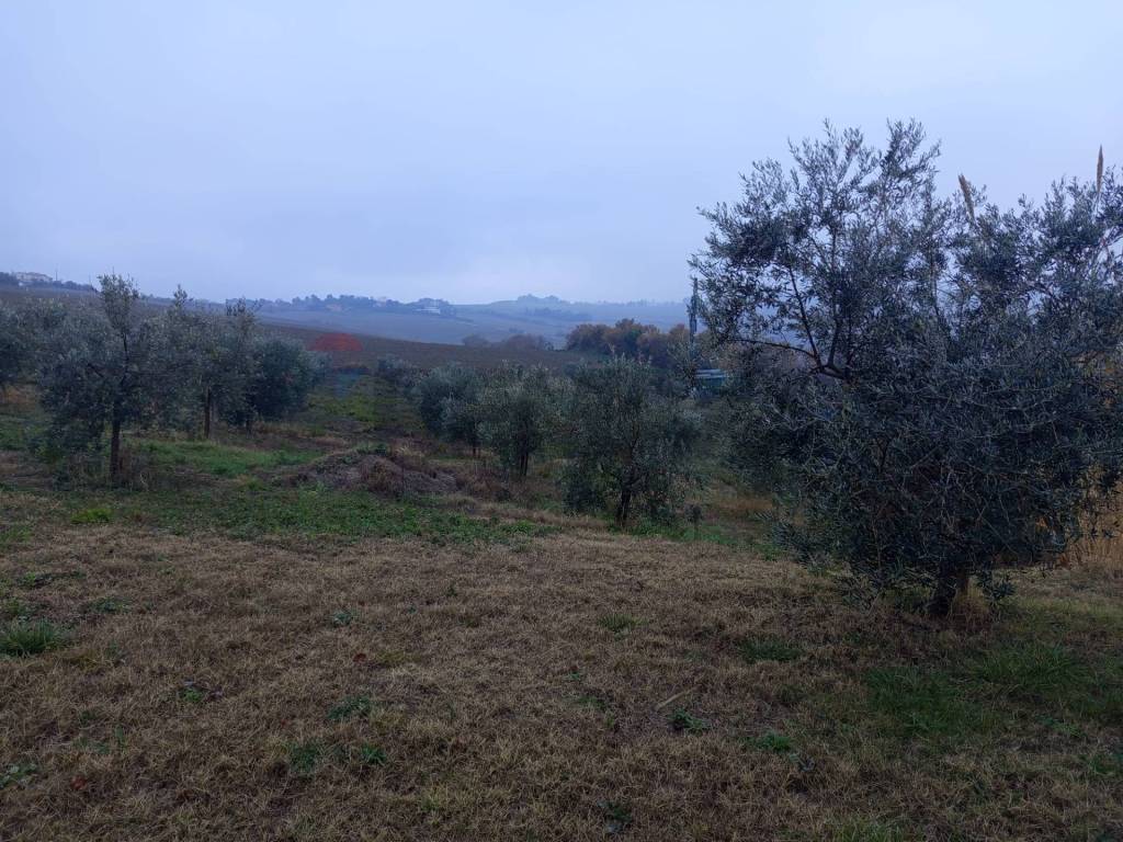 Appartamento a Ancona - Foto 2