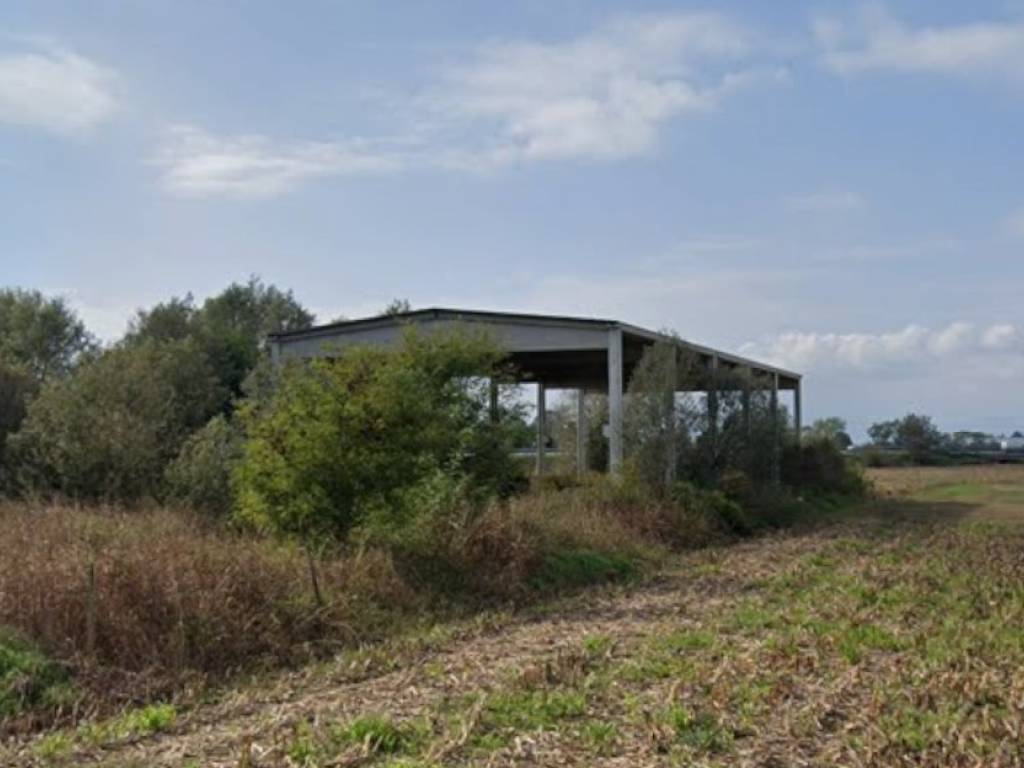 Immobile a Trofarello in SP29-Var - Foto 2