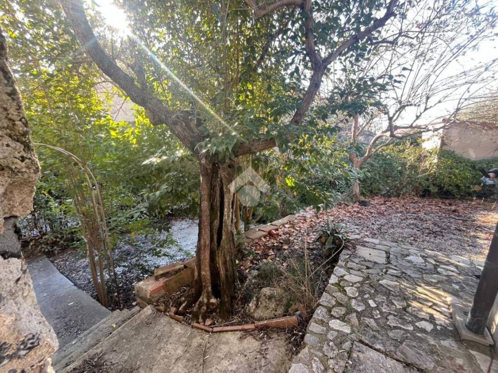 Rustico / casale a Amelia in Via Salisciano, 2 - Foto 4