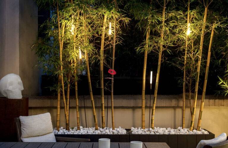 Appartamento a Mogliano veneto - Foto 3