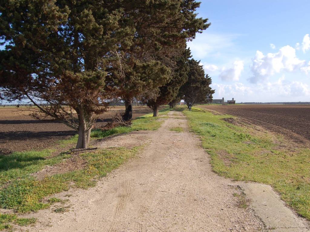 Rustico / casale a Brindisi - Foto 2