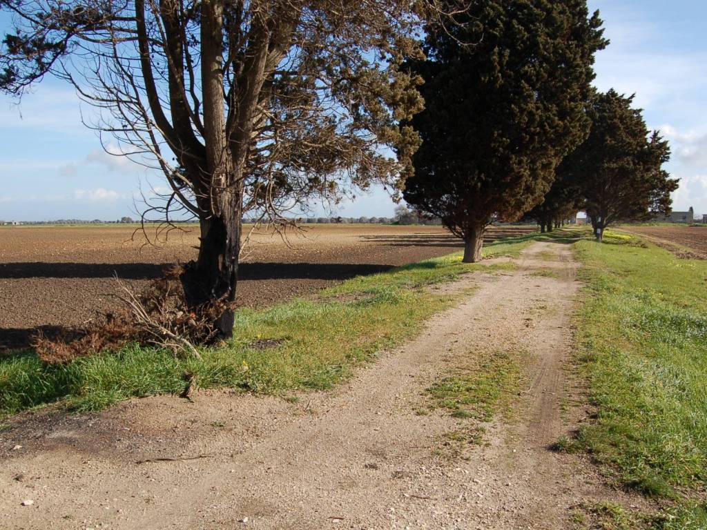 Rustico / casale a Brindisi - Foto 3