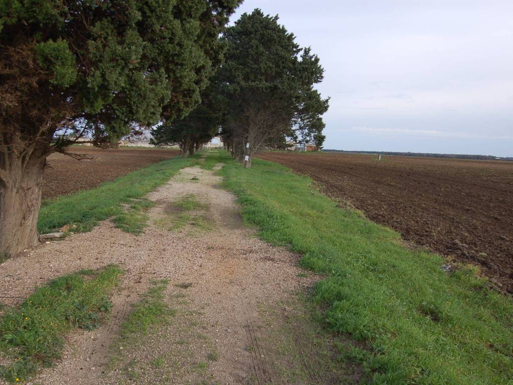 Rustico / casale a Brindisi - Foto 5