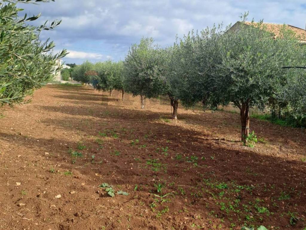 Terreno a Scicli in C.da Trippatore - Foto 2