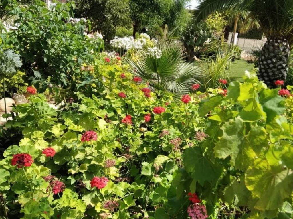 Terreno a Scicli in C.da Trippatore - Foto 5