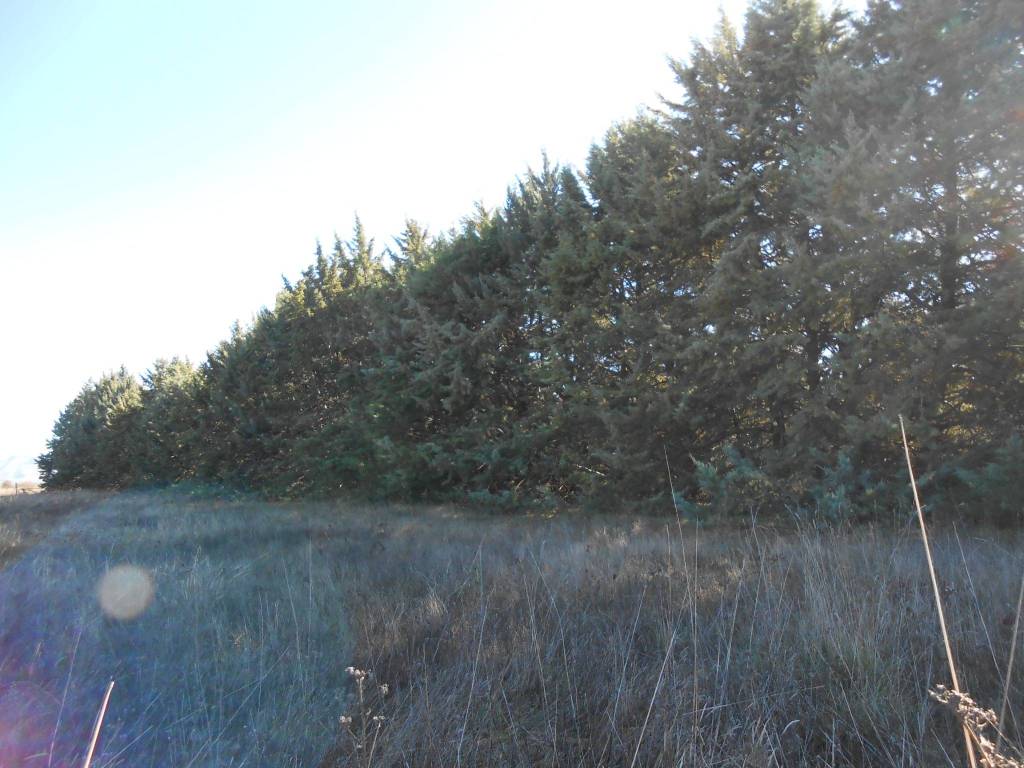 Terreno a Avezzano in Via Giovanni XXIII, 167 - Foto 3