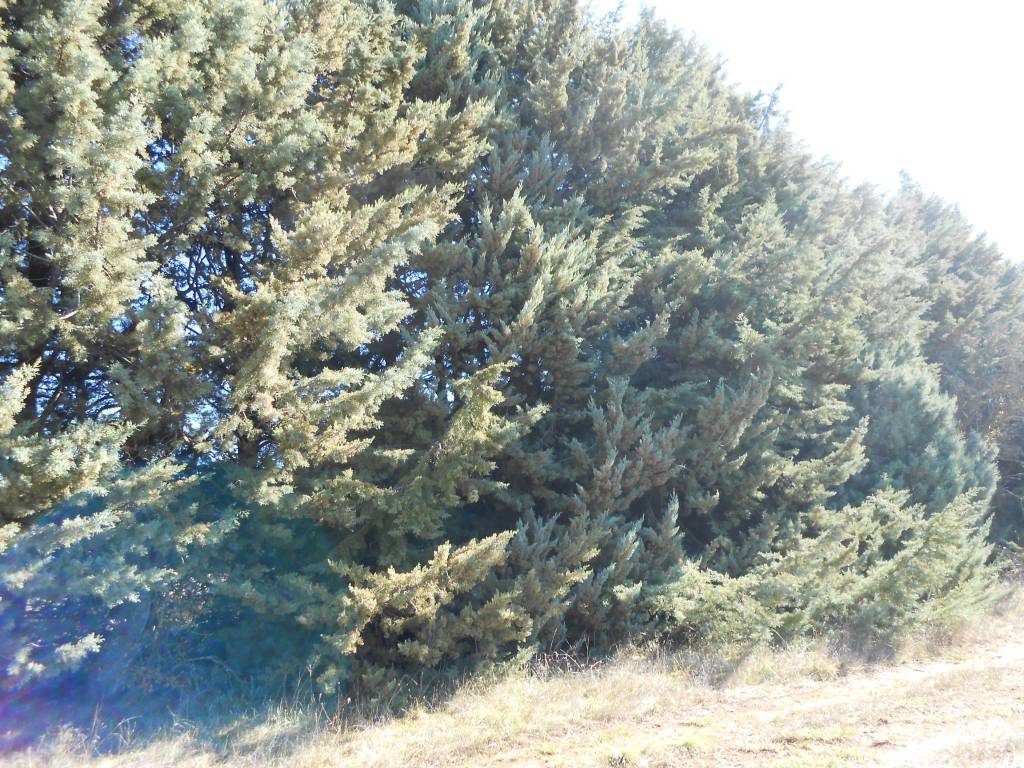 Terreno a Avezzano in Via Giovanni XXIII, 167 - Foto 4
