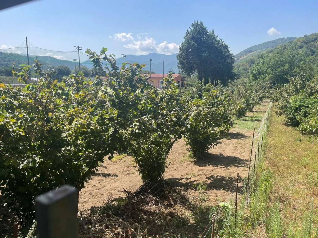 Terreno a Mercato san severino in Via Ciorani S.N.C. - Foto 3