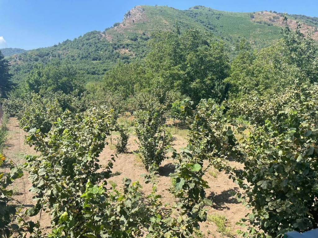 Terreno a Mercato san severino in Via Ciorani S.N.C. - Foto 5
