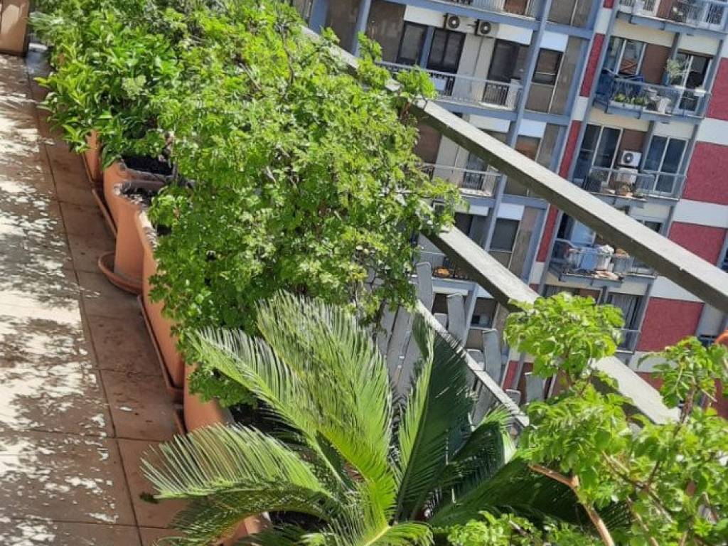 Appartamento a Bari in Via Prospero Petroni, 5 - Foto 2