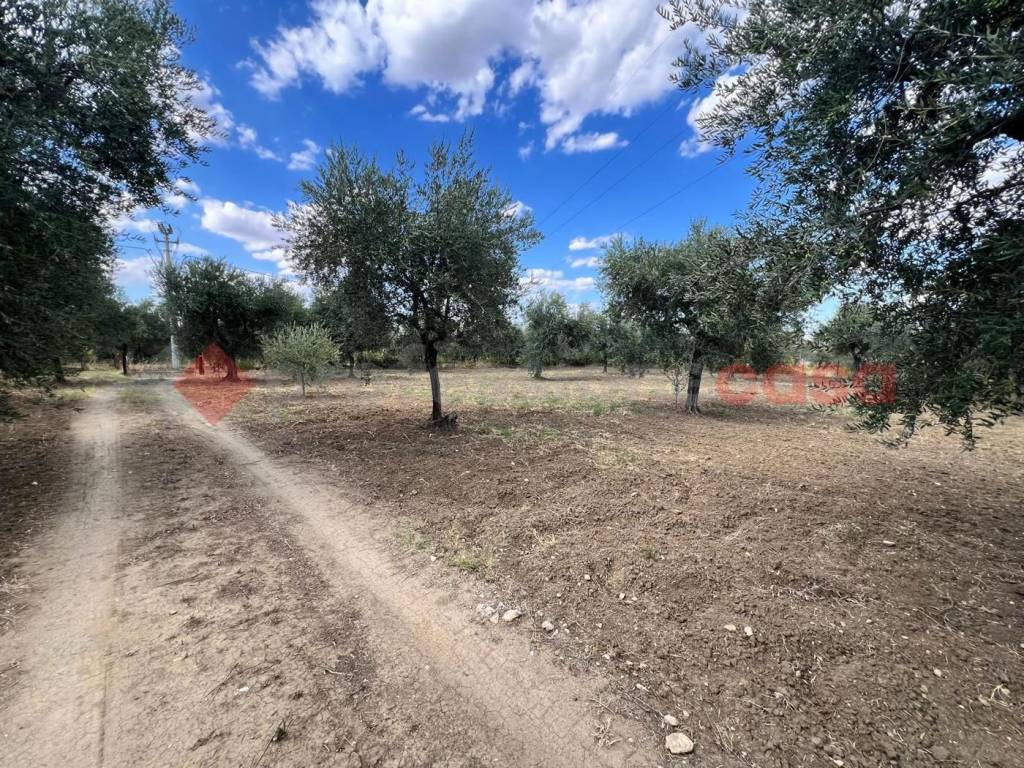 Terreno a Barile in CONTRADA GORIZZE, SNC - Foto 3