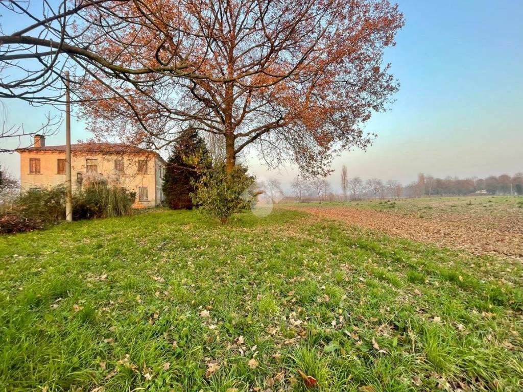 Rustico / casale a Selvazzano dentro in Via VEGRI, 1 - Foto 3