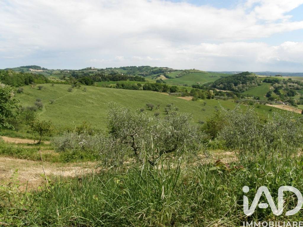 Rustico / casale a Fano in LocalitÃ CARIGNANO - Foto 3