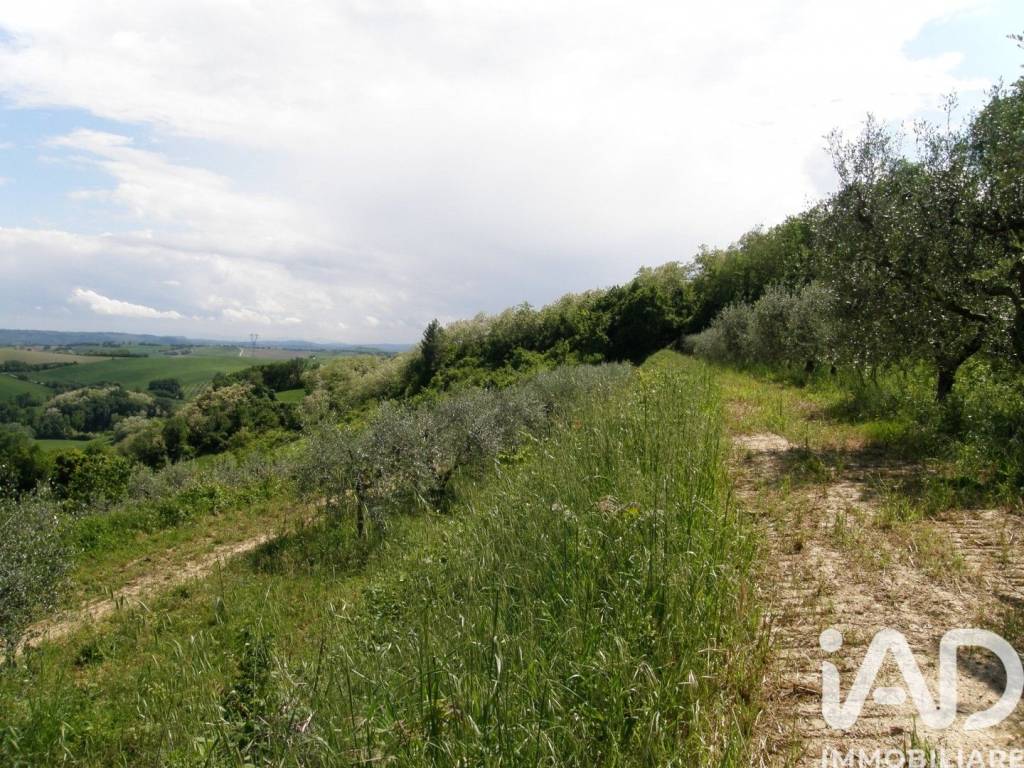Rustico / casale a Fano in LocalitÃ CARIGNANO - Foto 5