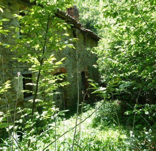 Rustico / casale a Carcare - Foto 2