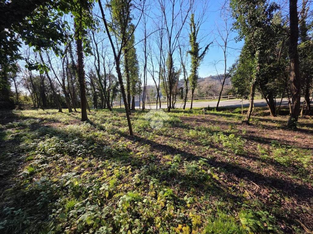 Terreno a Conegliano in Via Pompeo Molmenti, 8 - Foto 2