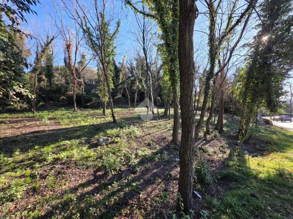 Terreno a Conegliano in Via Pompeo Molmenti, 8 - Foto 3