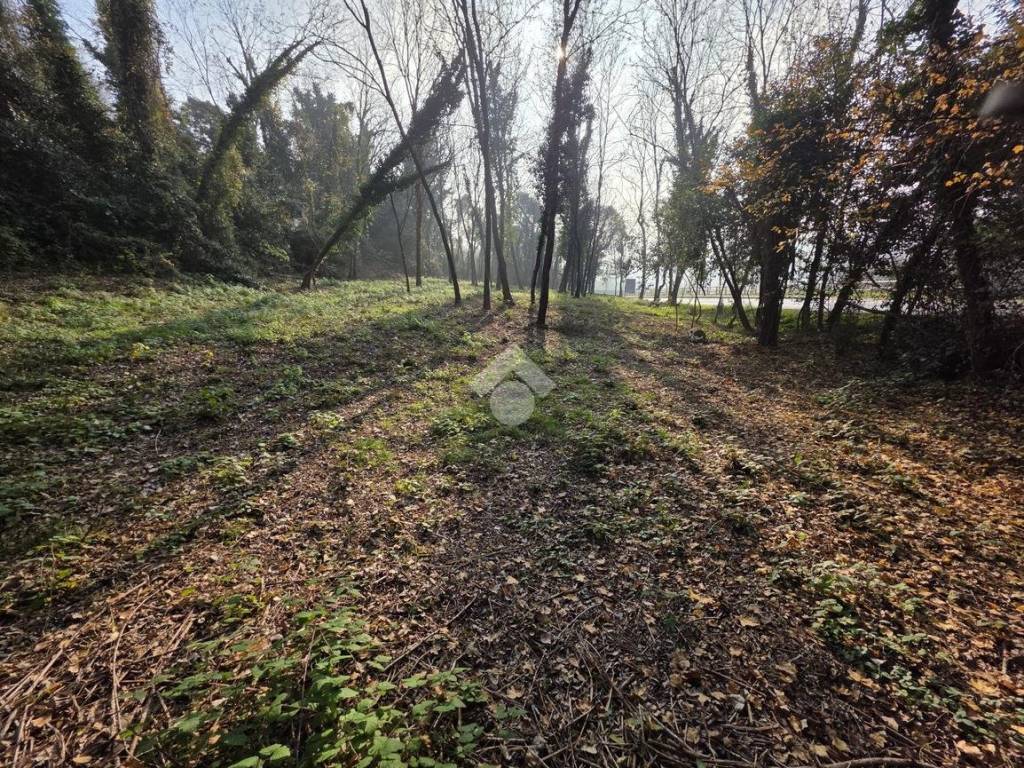 Terreno a Conegliano in Via Pompeo Molmenti, 8 - Foto 5