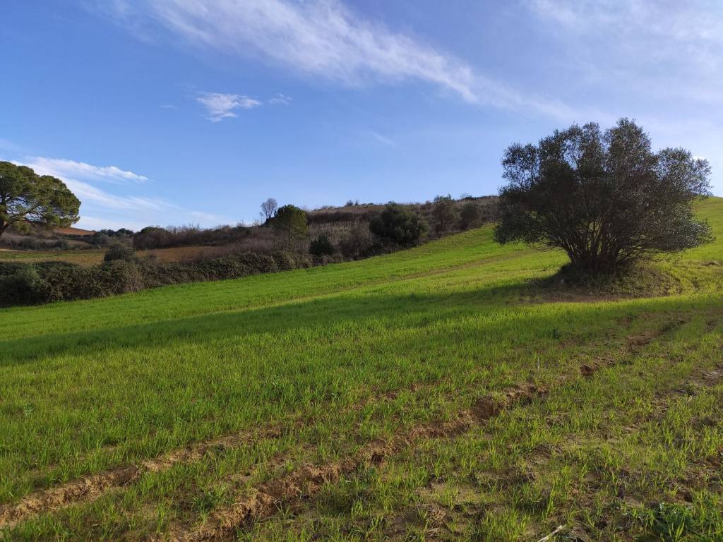 Terreno a Caltagirone in SP34 - Foto 2