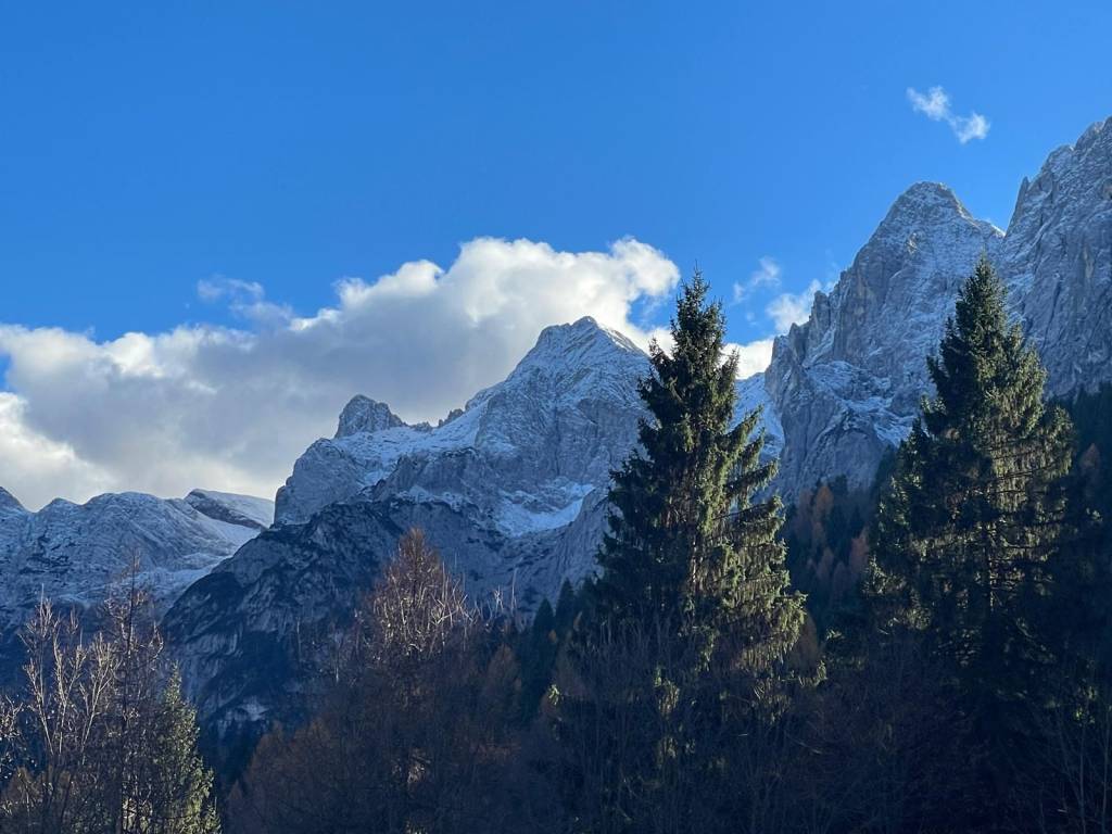 Rustico / casale a Primiero san martino di castrozza - Foto 2