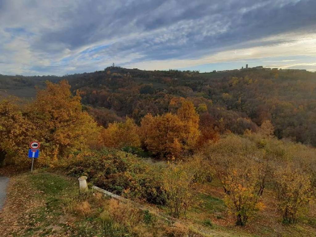 Casa indipendente a Albaretto della torre in via Borine - Foto 2
