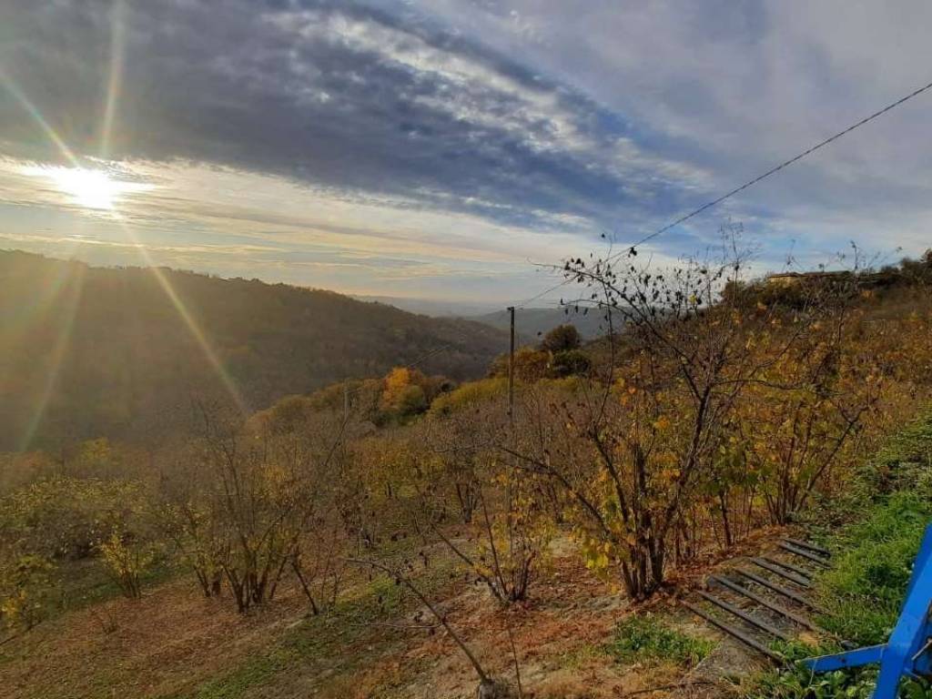 Casa indipendente a Albaretto della torre in via Borine - Foto 3