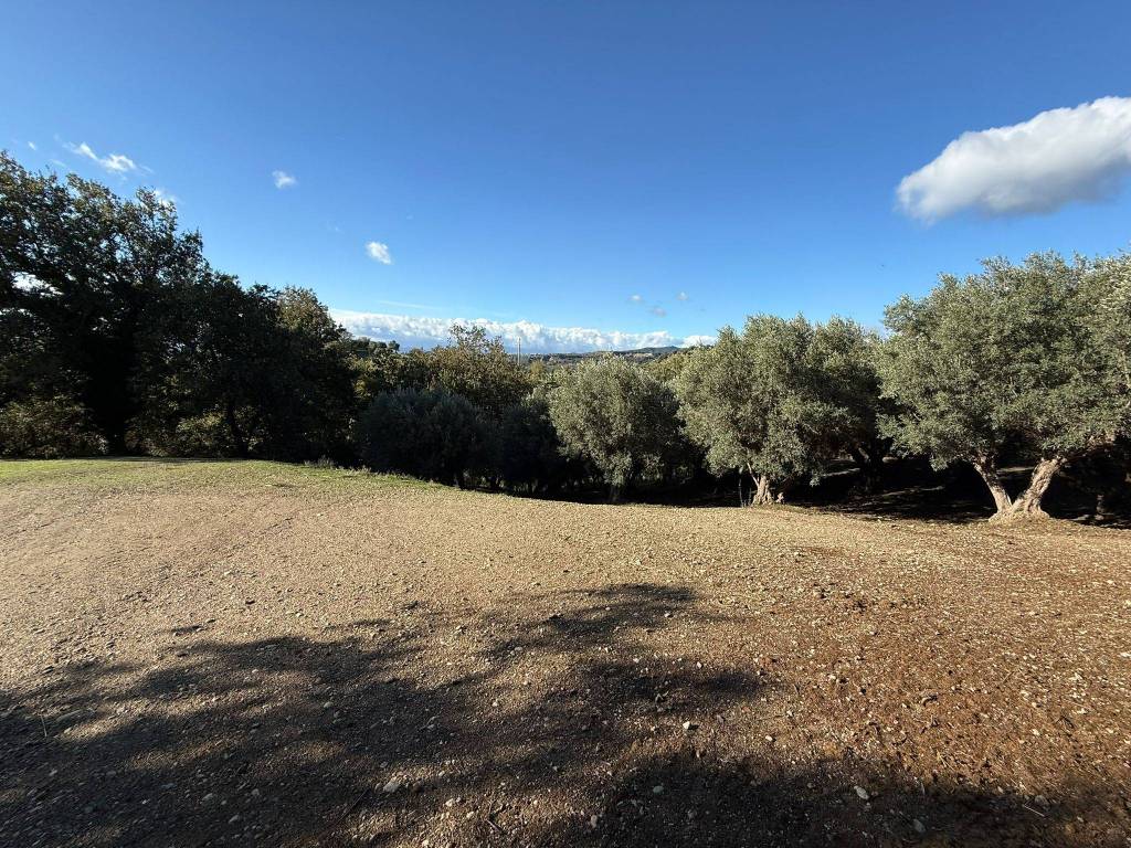Terreno a Soveria simeri in Viale Libertà, 15 - Foto 2
