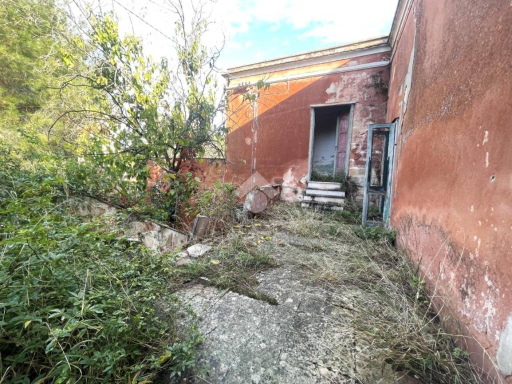 Rustico / casale a Minervino murge in Contrada lamalunga - Foto 3