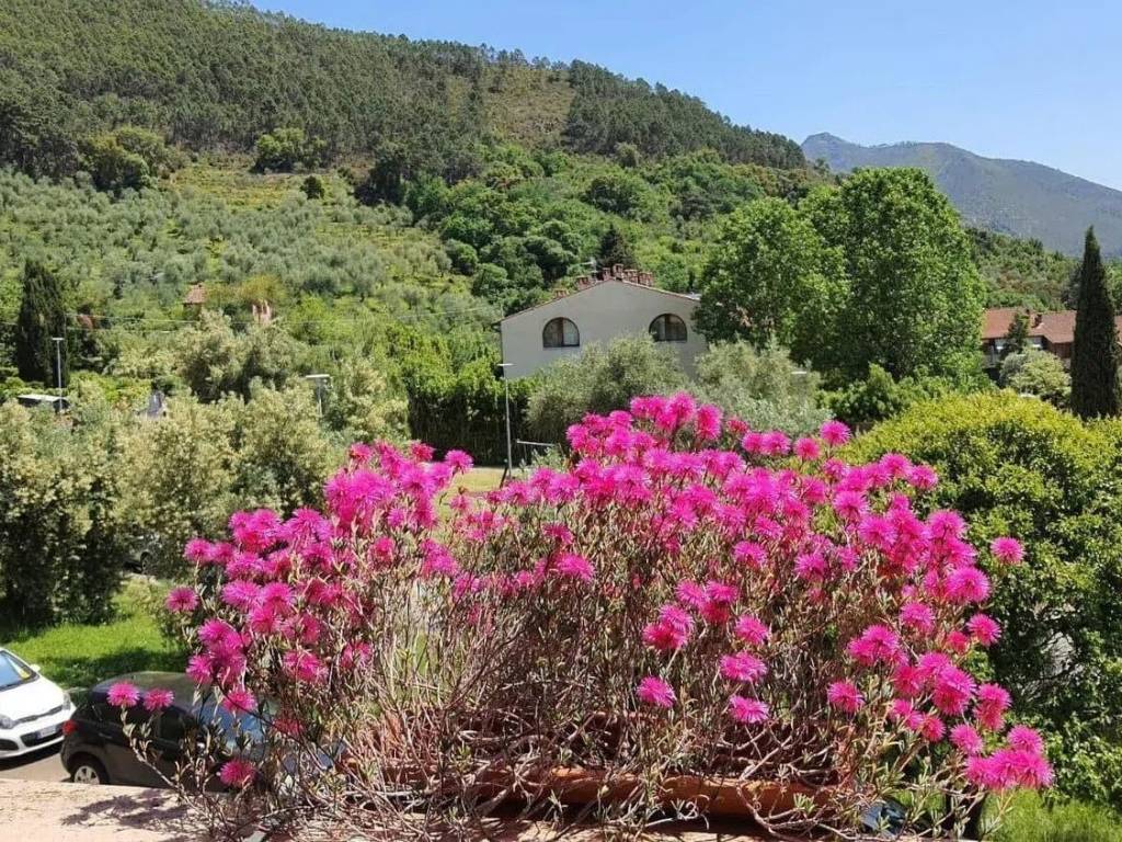 Villa a Calci in Piazza E. Santoni - Foto 3