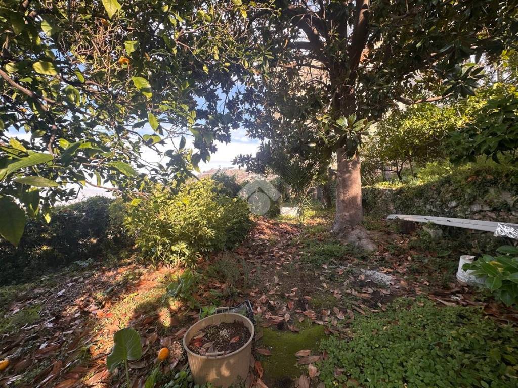 Casa indipendente a Corbara in Via Francesco Robuffo Giordano, 1 - Foto 4