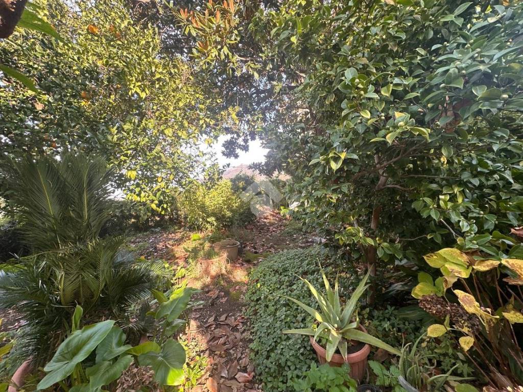 Casa indipendente a Corbara in Via Francesco Robuffo Giordano, 1 - Foto 5