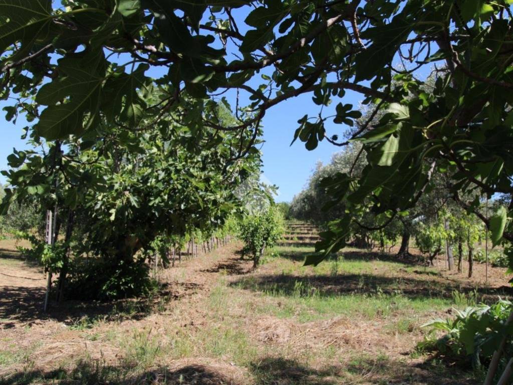 Casa indipendente a Rimini in Via Lagone, 22 - Foto 5
